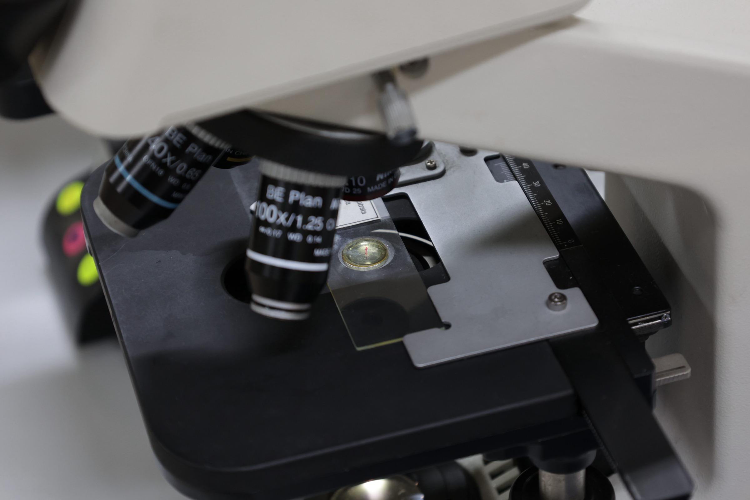 Open Day 2026 — DATABASED